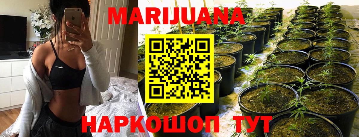 Бошки Шишки White Widow Волхов